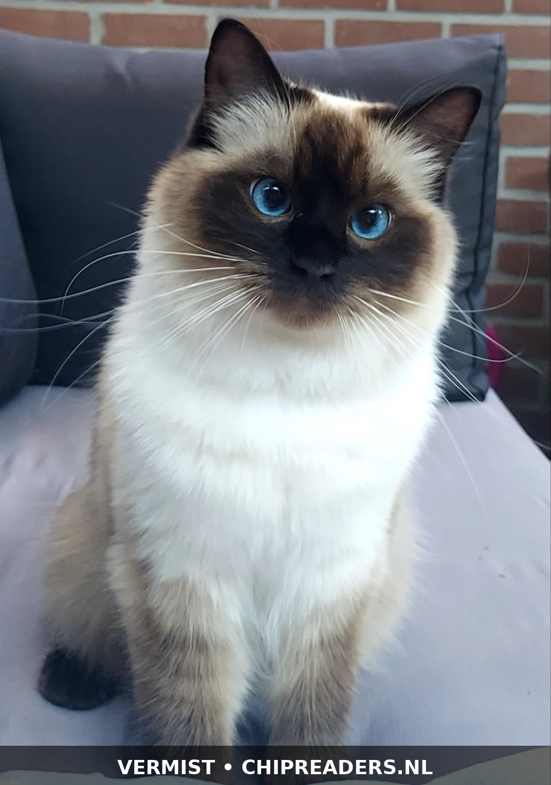 Foto van Guusje