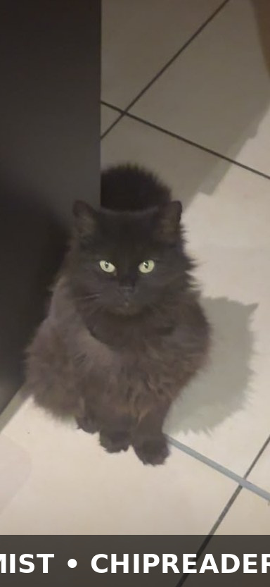 Foto van Bella