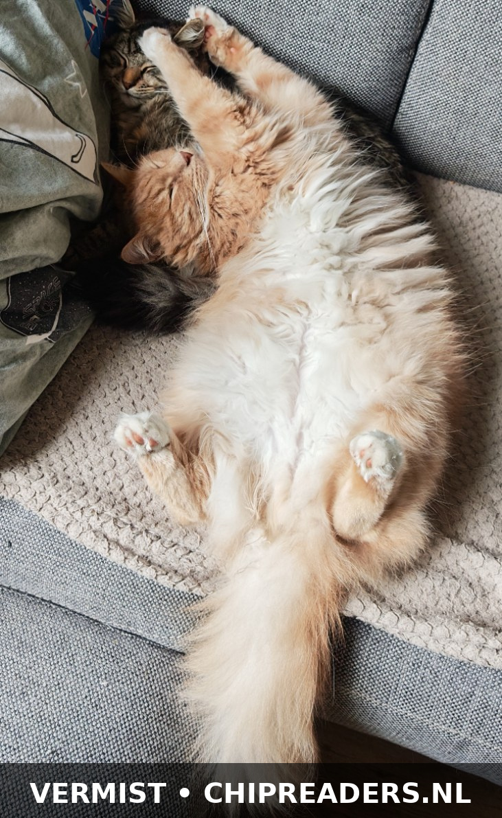 Foto van Lenny