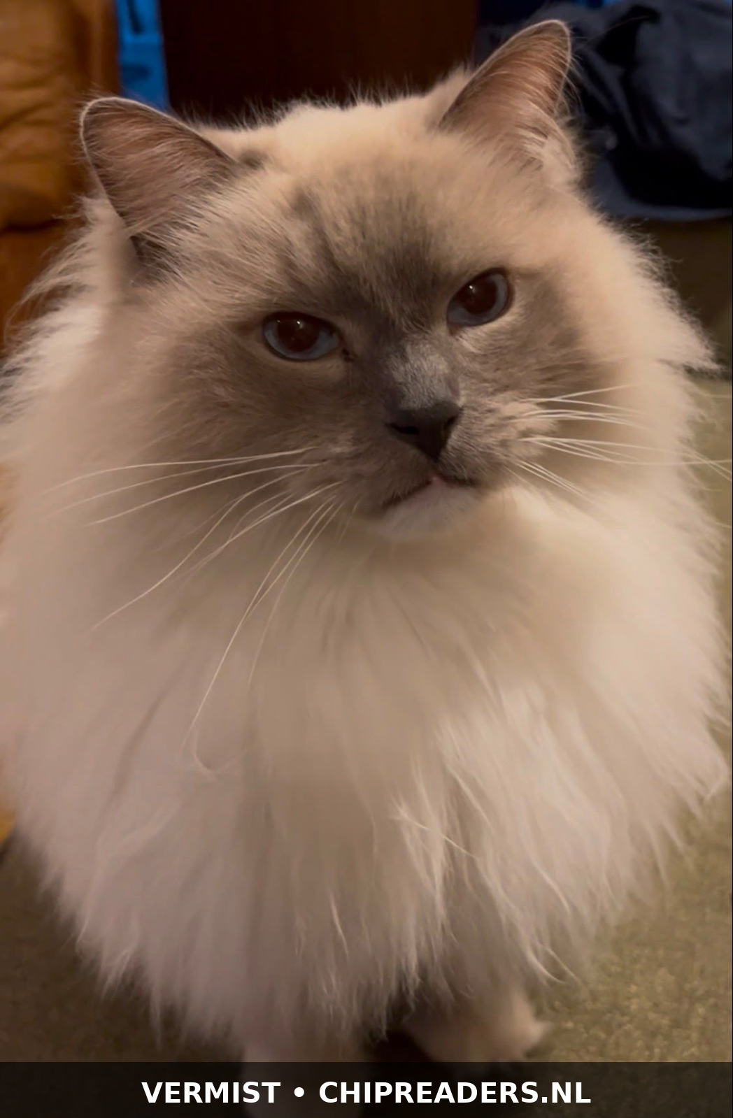 Foto van Bobbie
