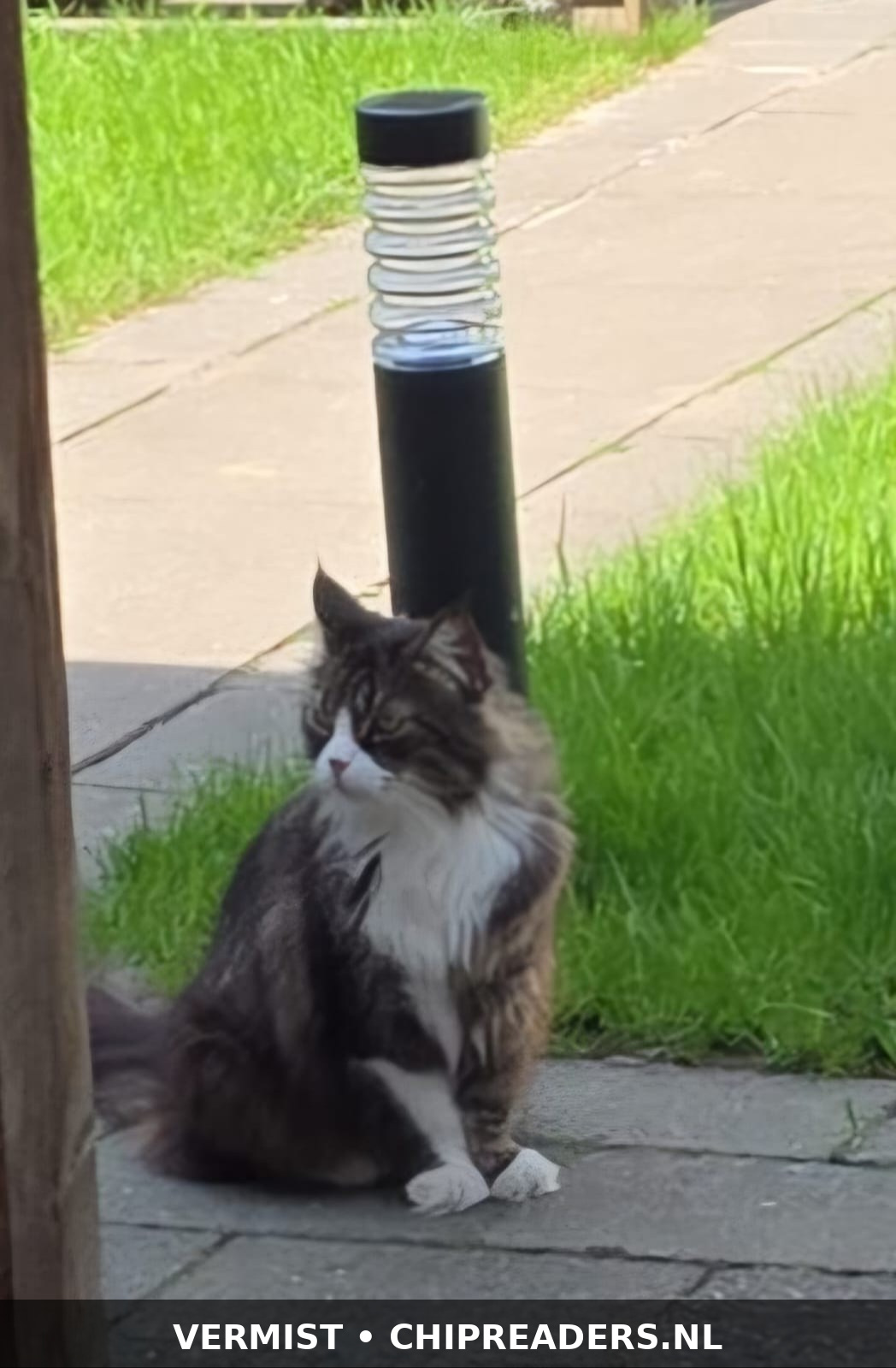 Foto van Kiara