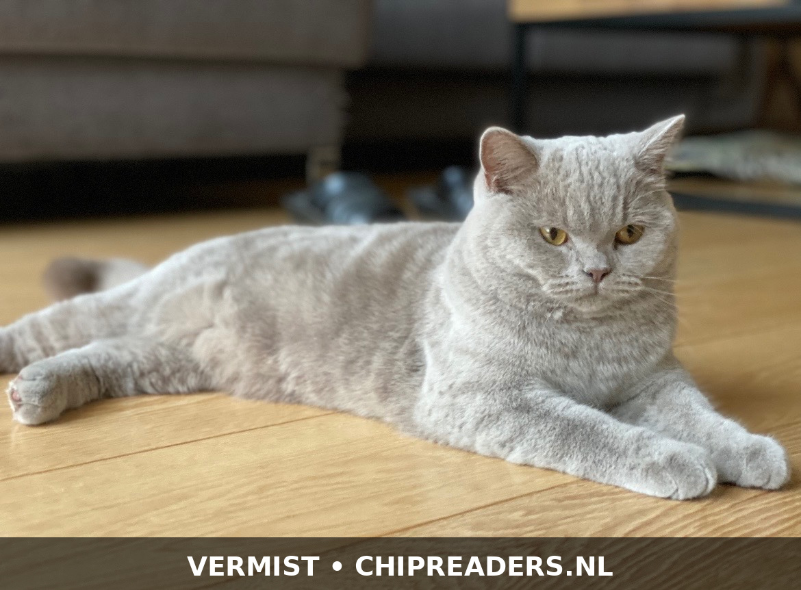 Foto van Boris
