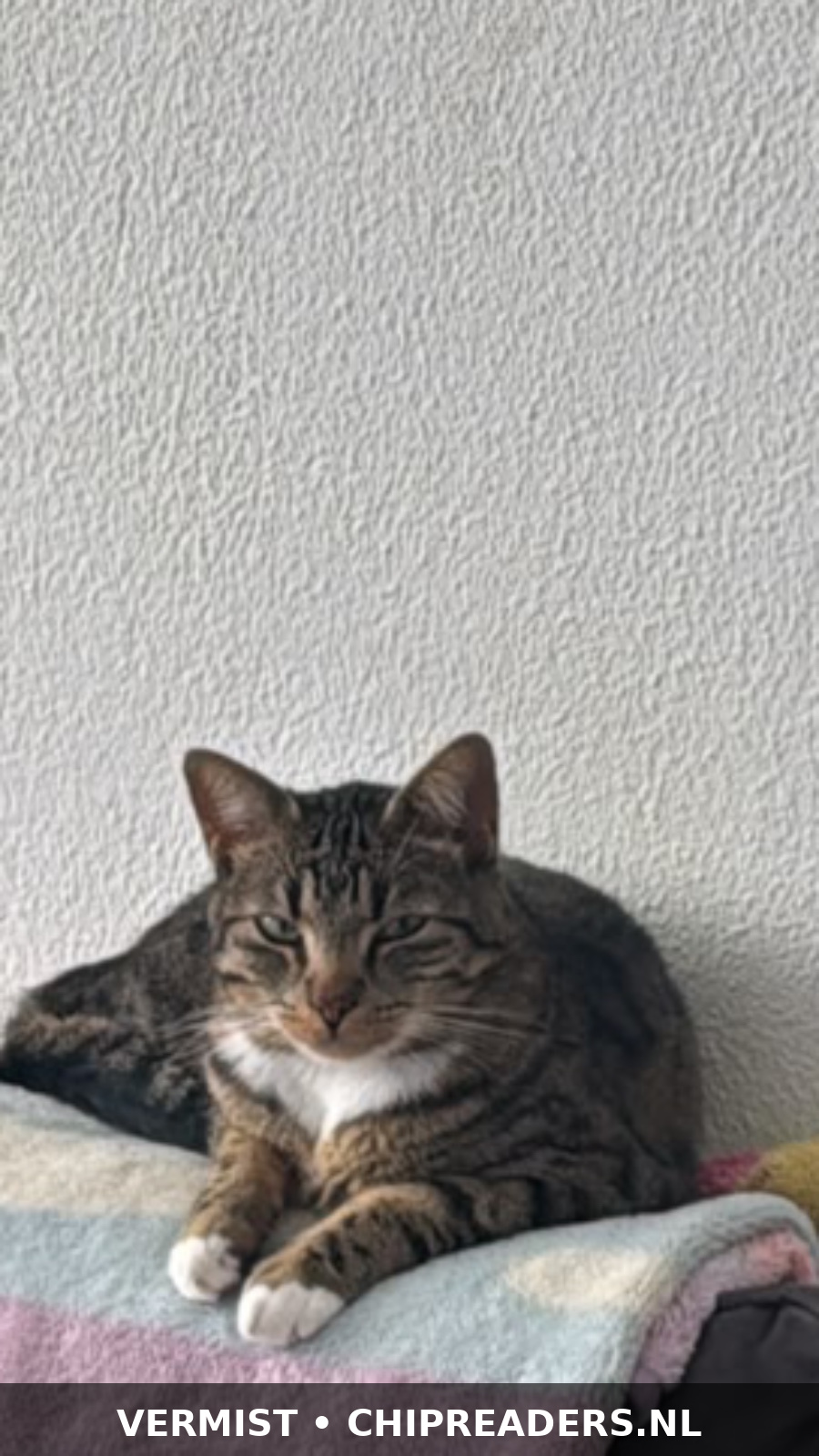 Foto van Aslan