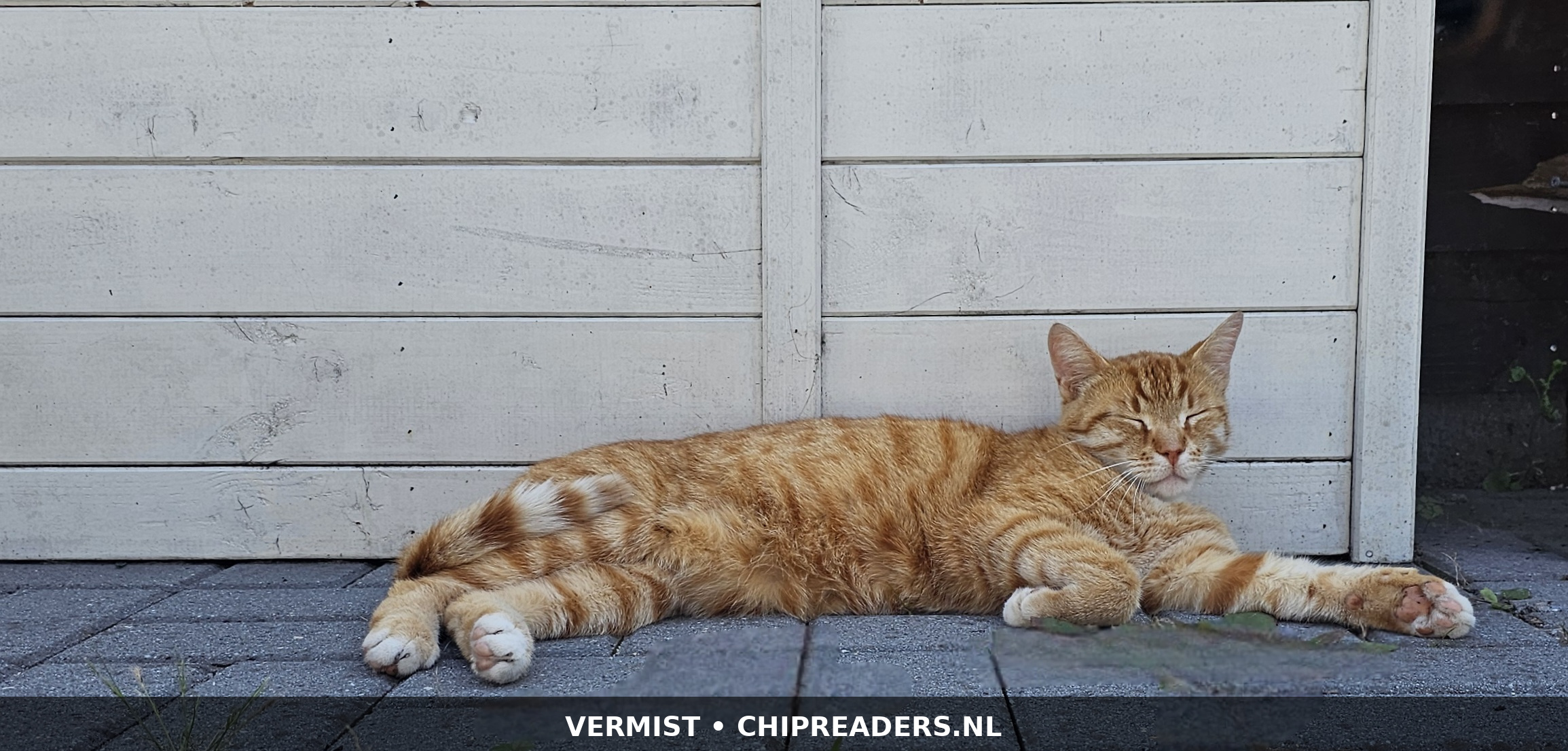 Teun foto 4