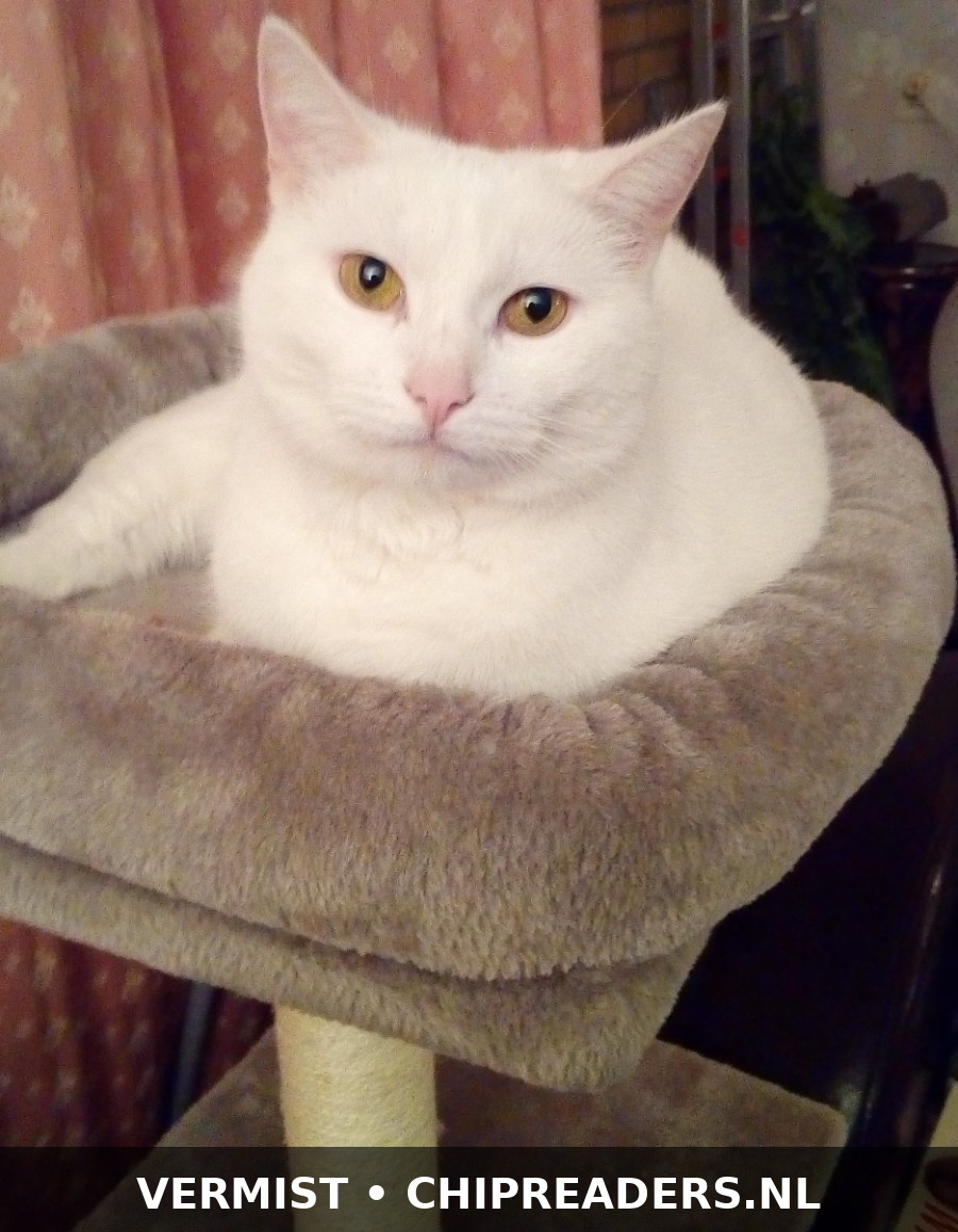 Foto van Pixie