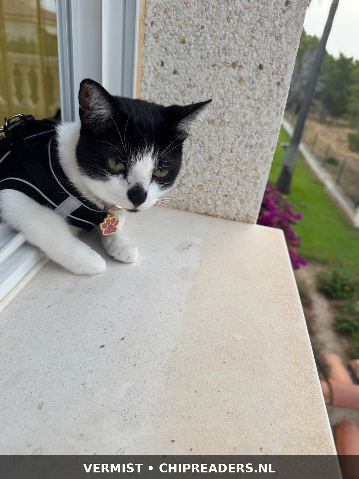 Foto van Mimi