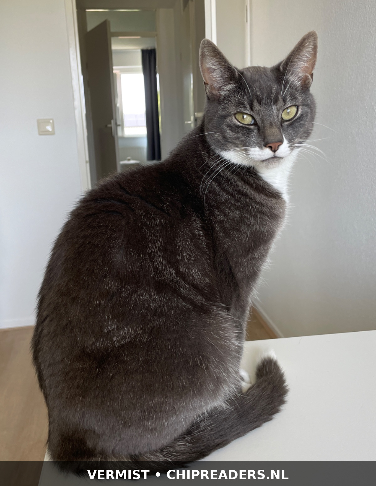 Foto van Gijs