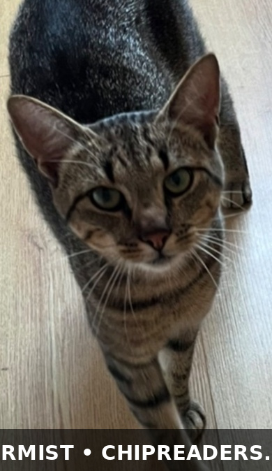 Milo