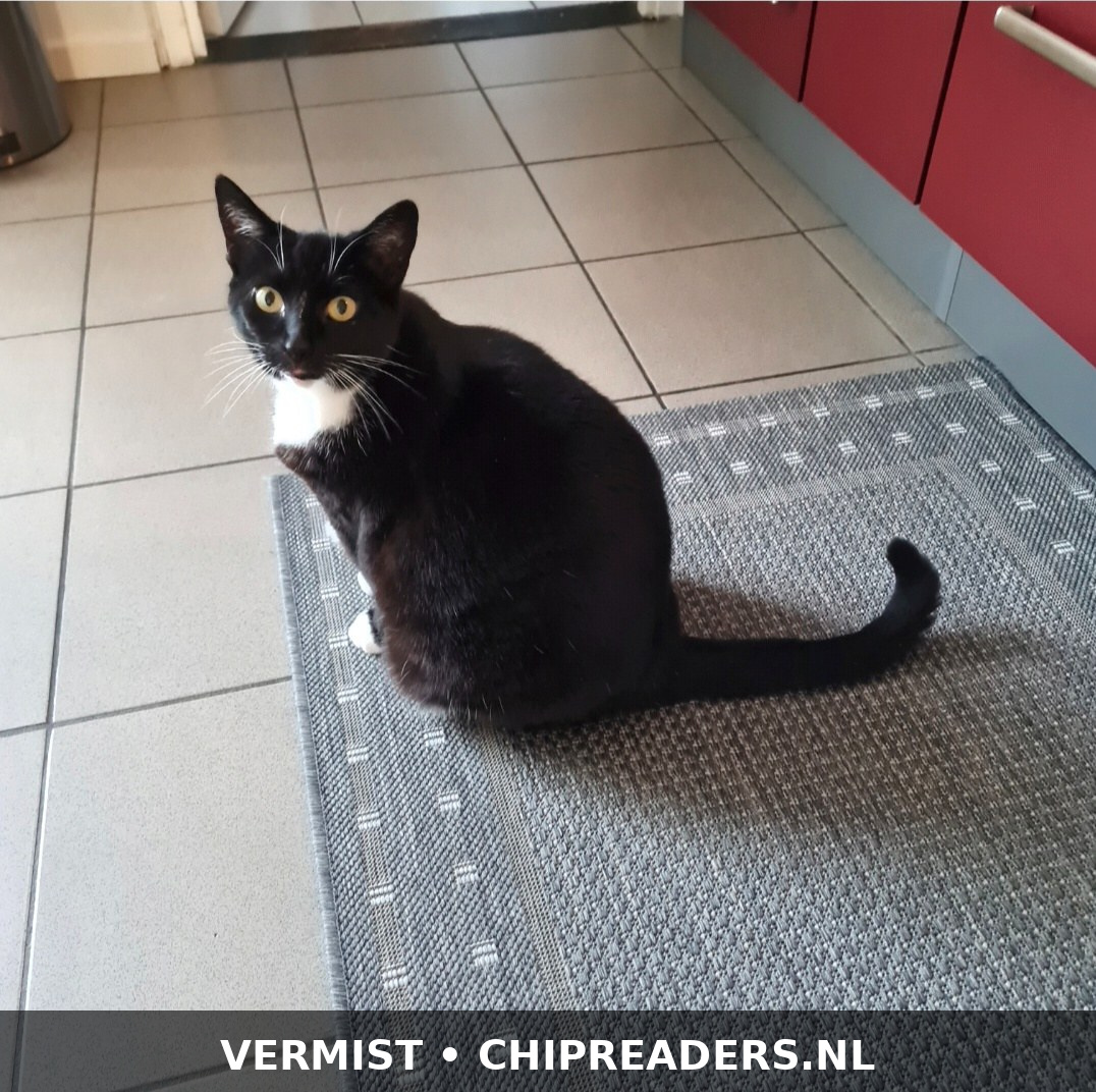 Foto van Nina