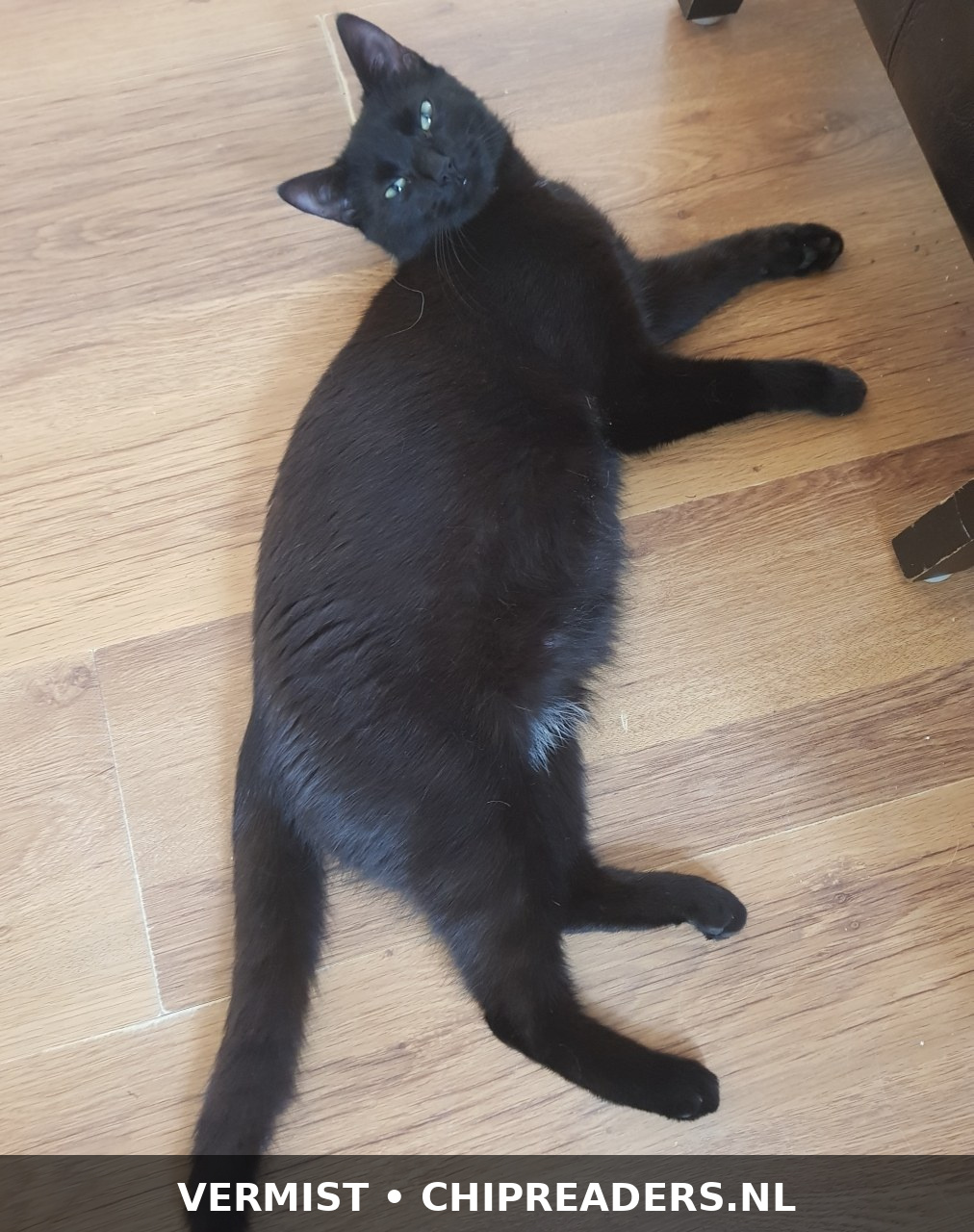 Foto van Lisa