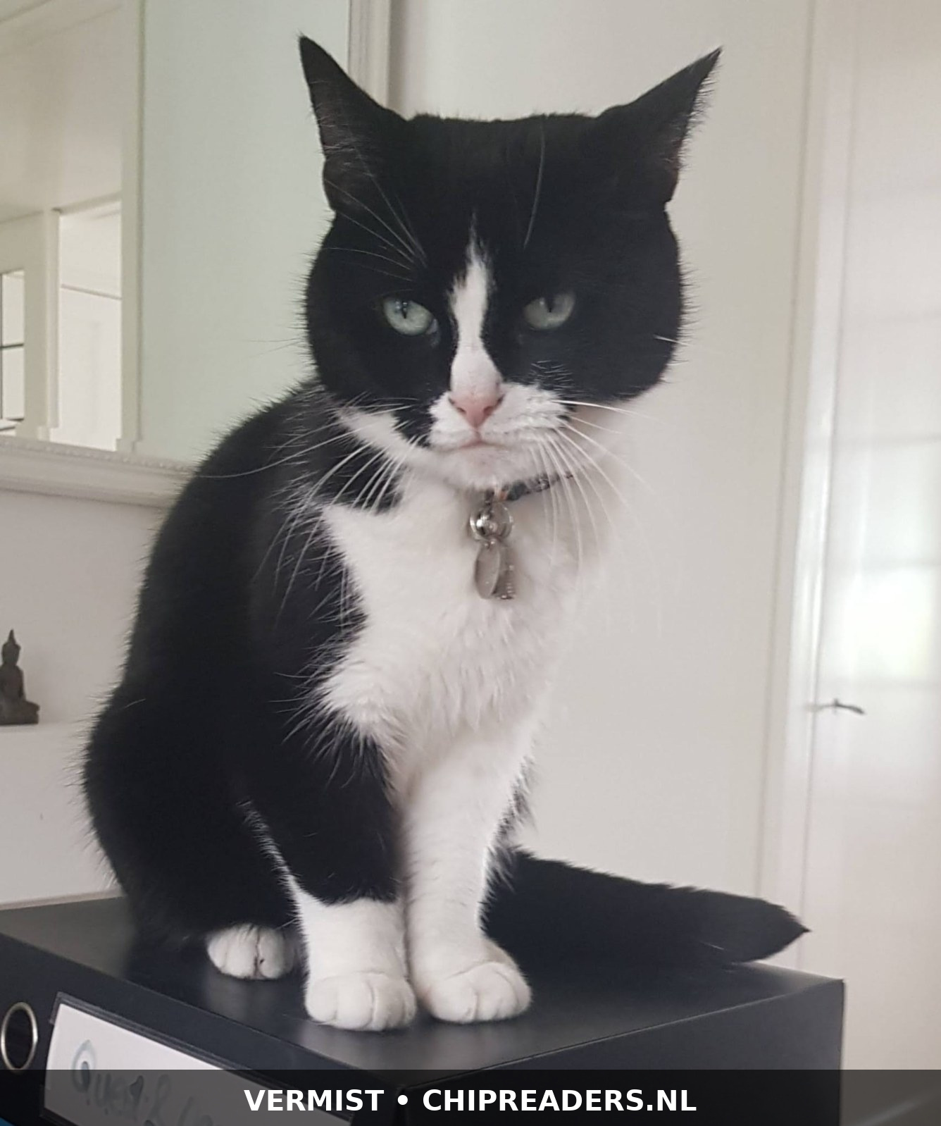 Foto van Bunda (Bunda)