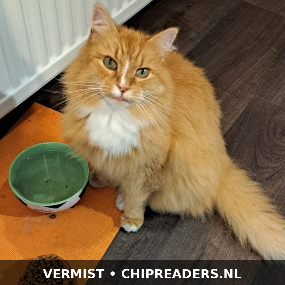 Blekkie foto 1