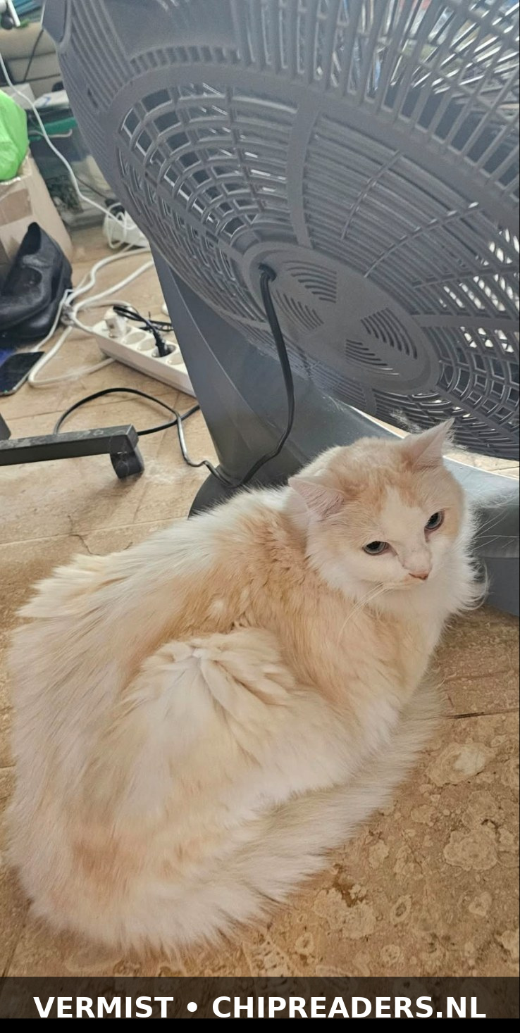 Foto van Grumpie