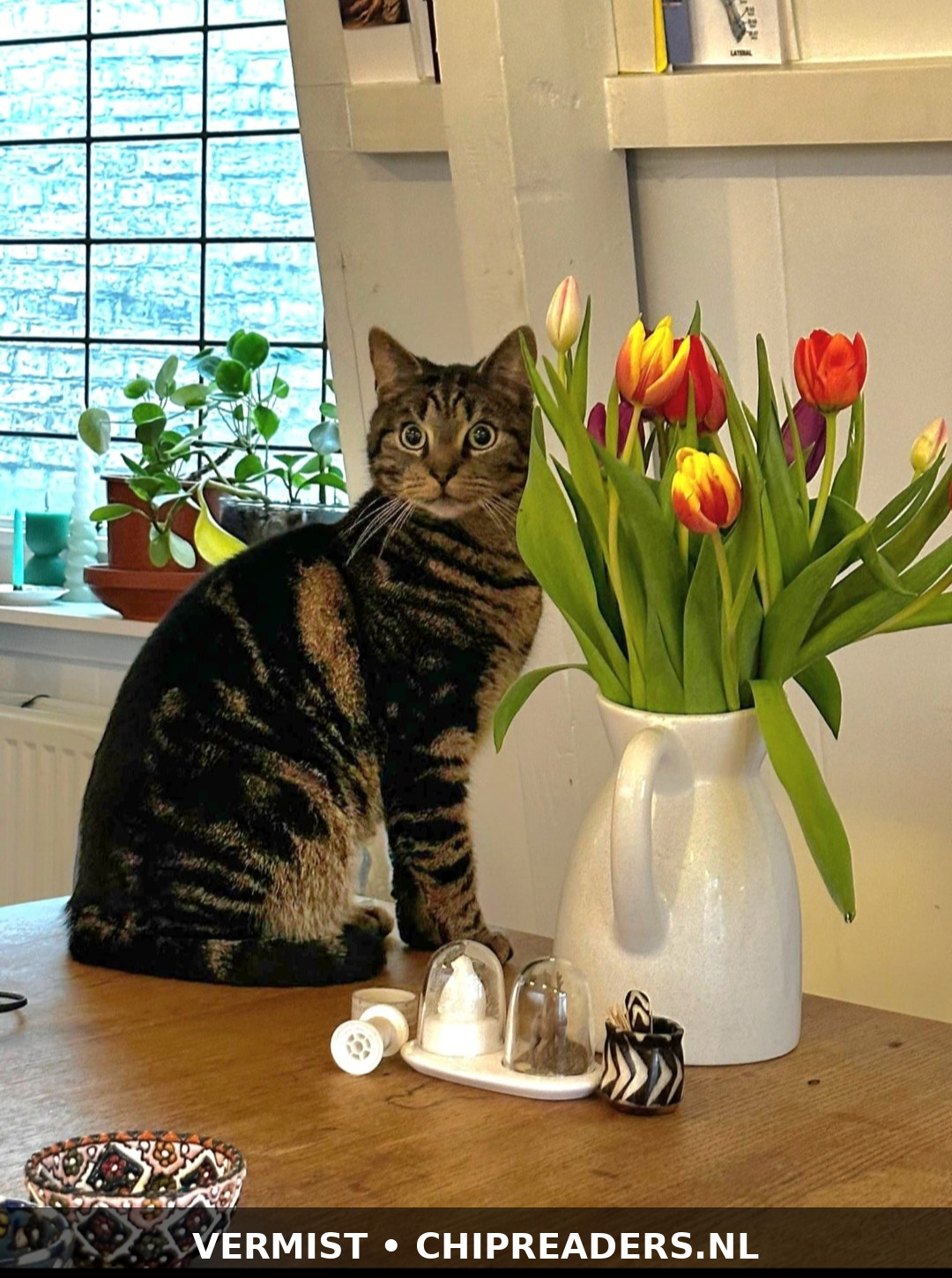 Foto van Kees
