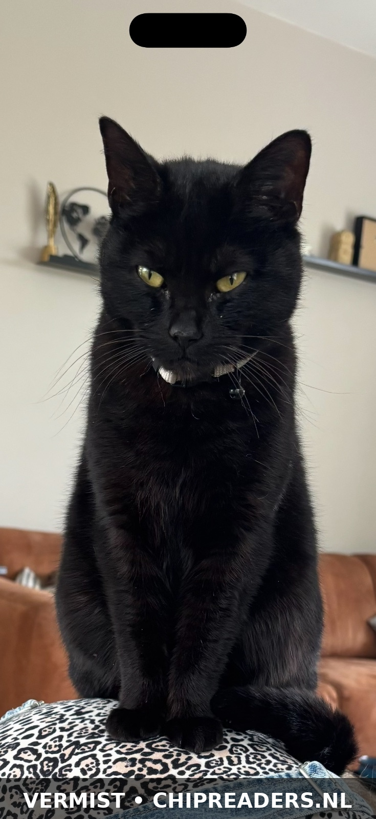 Foto van Coco