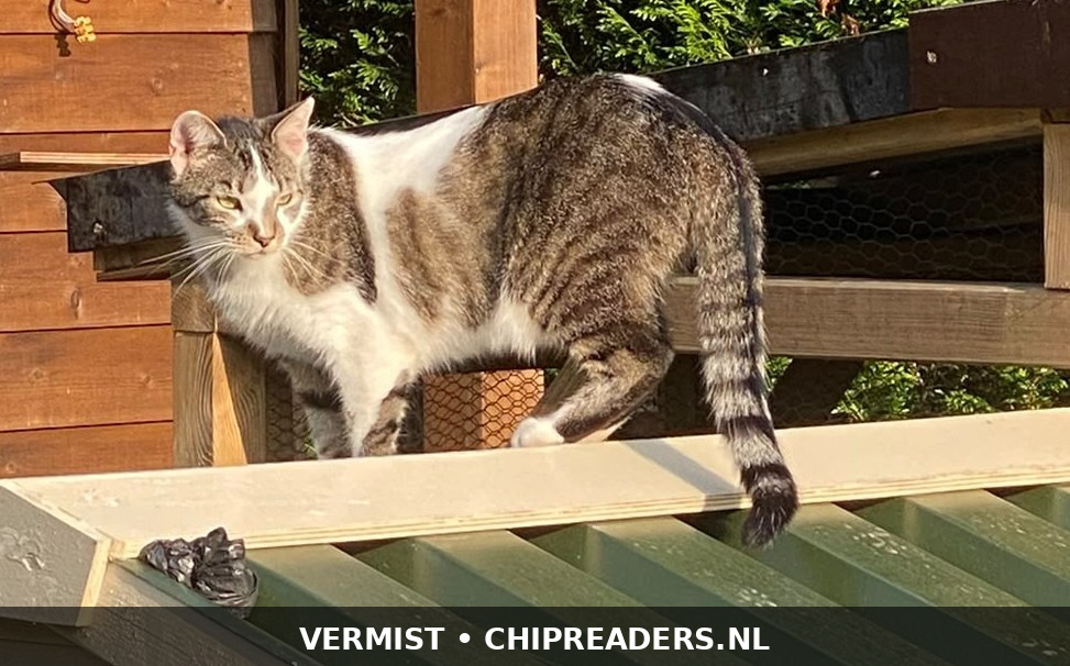 Foto van Teus