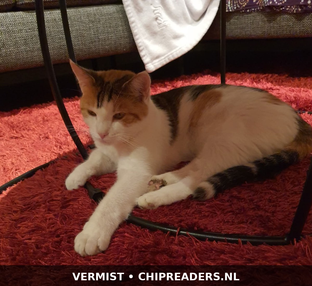 Ella