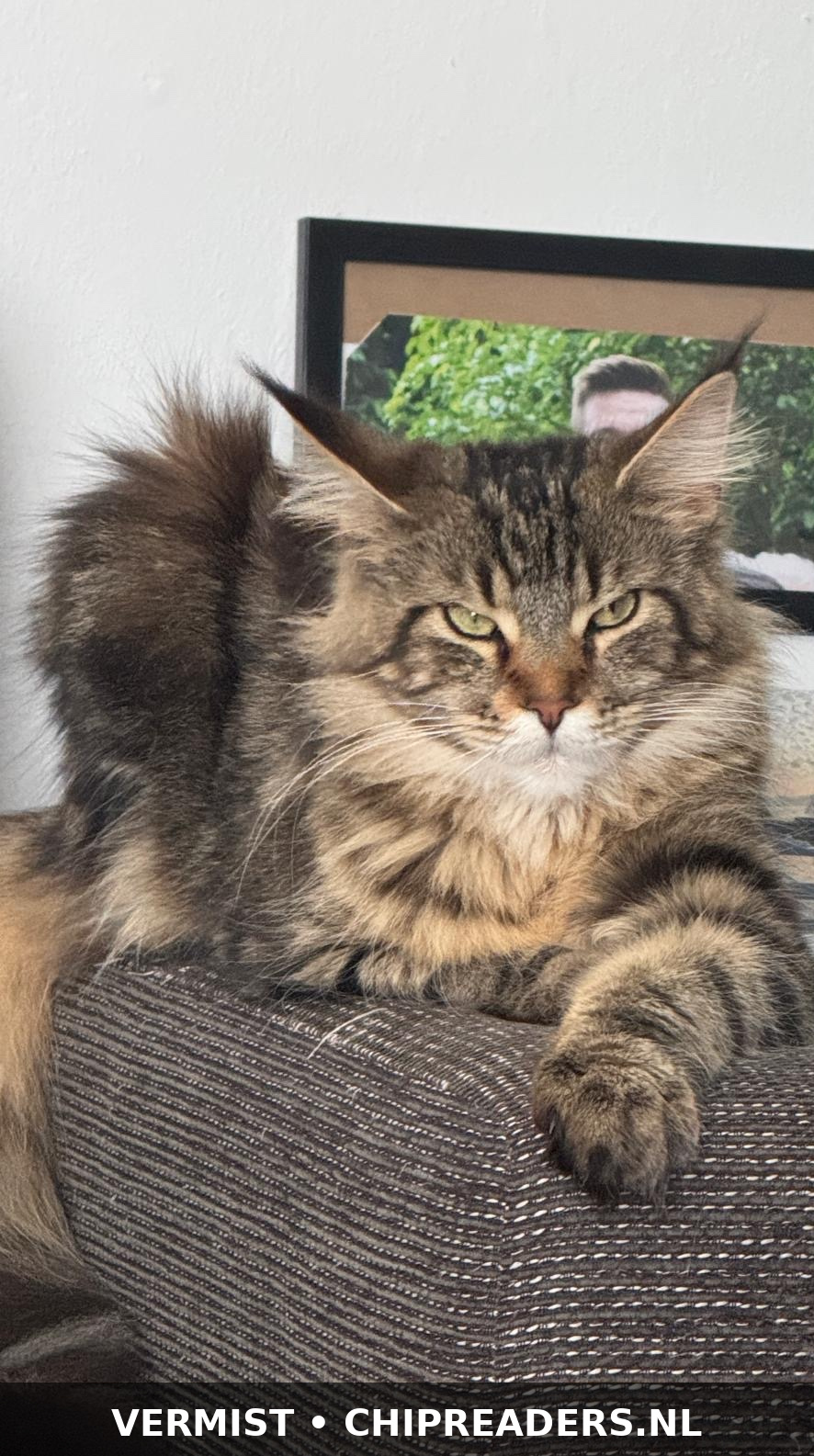 Chloe