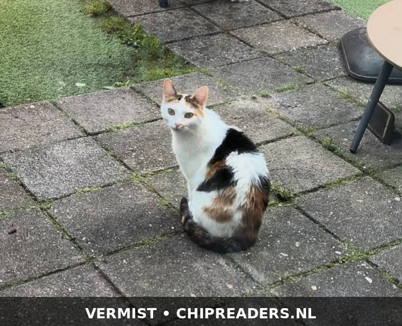Foto van Billy