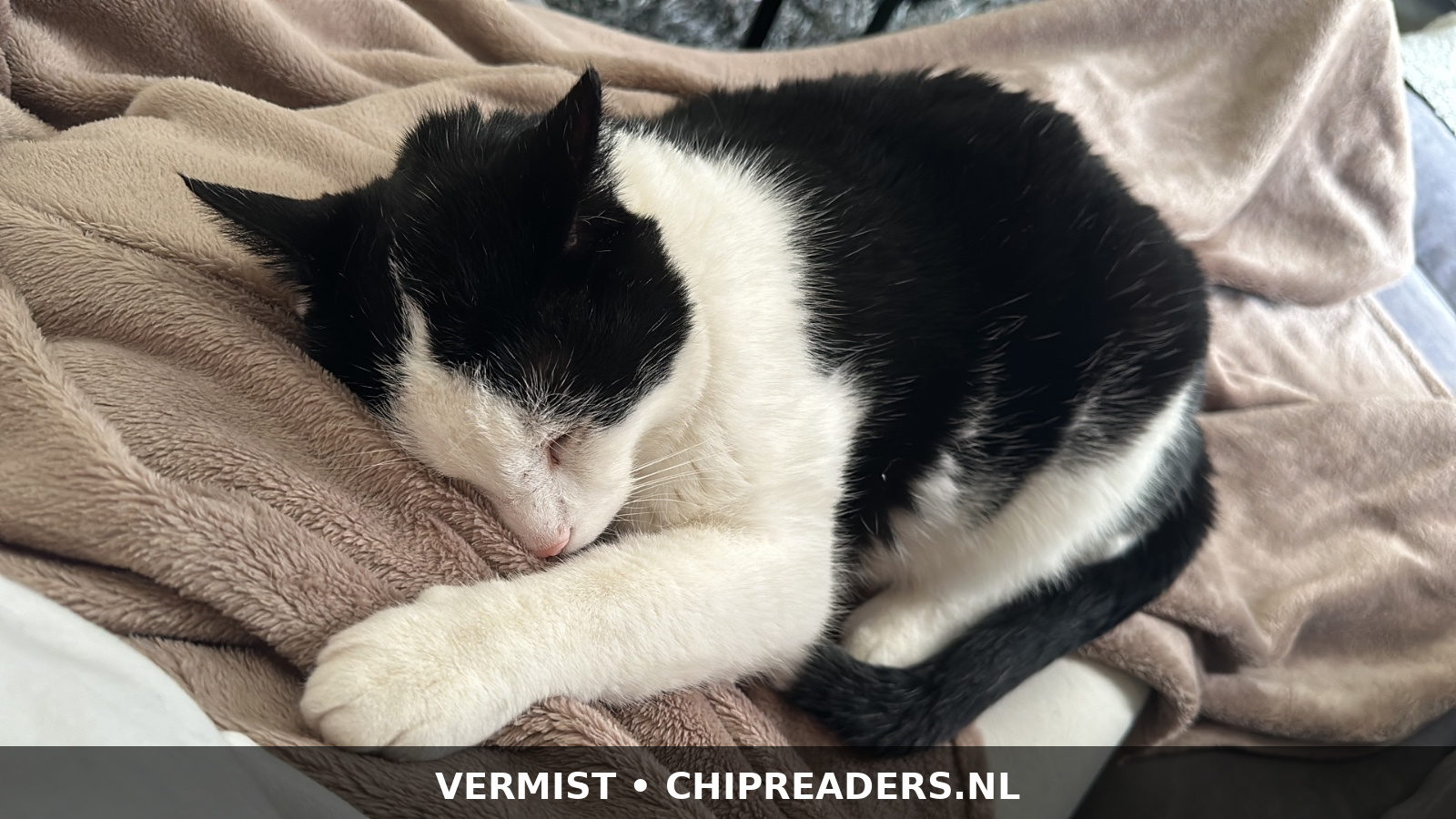 Foto van Bliksem
