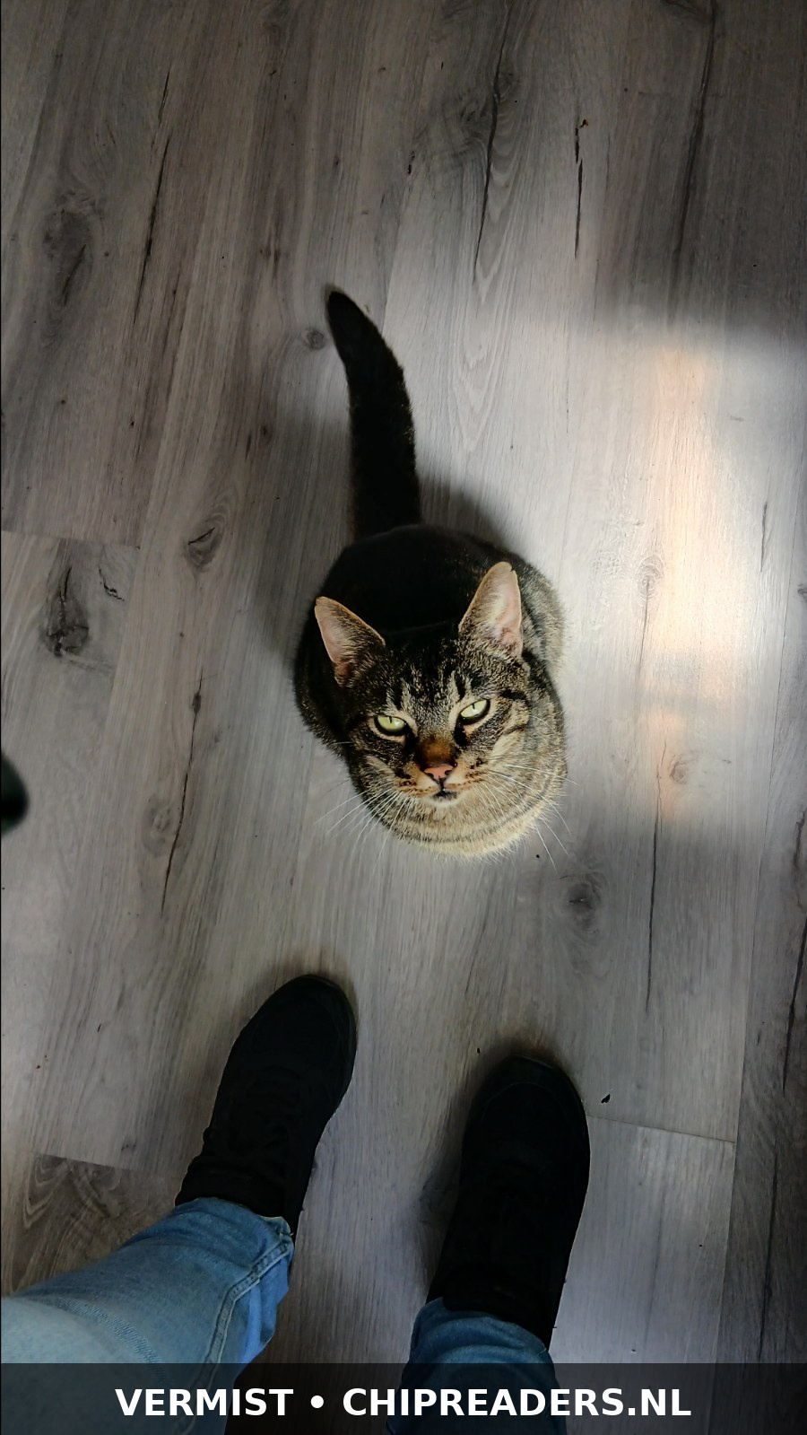Spike foto 1