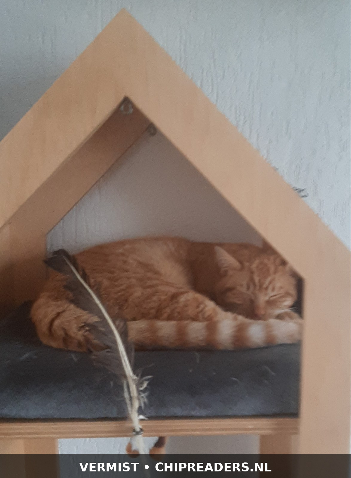 Foto van Gerrit