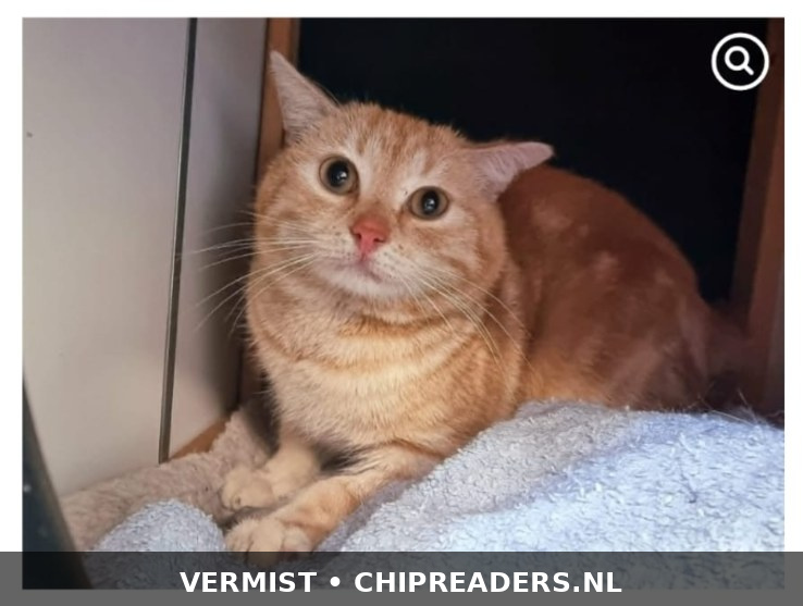 Foto van Rollo