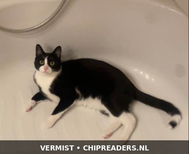 Milo