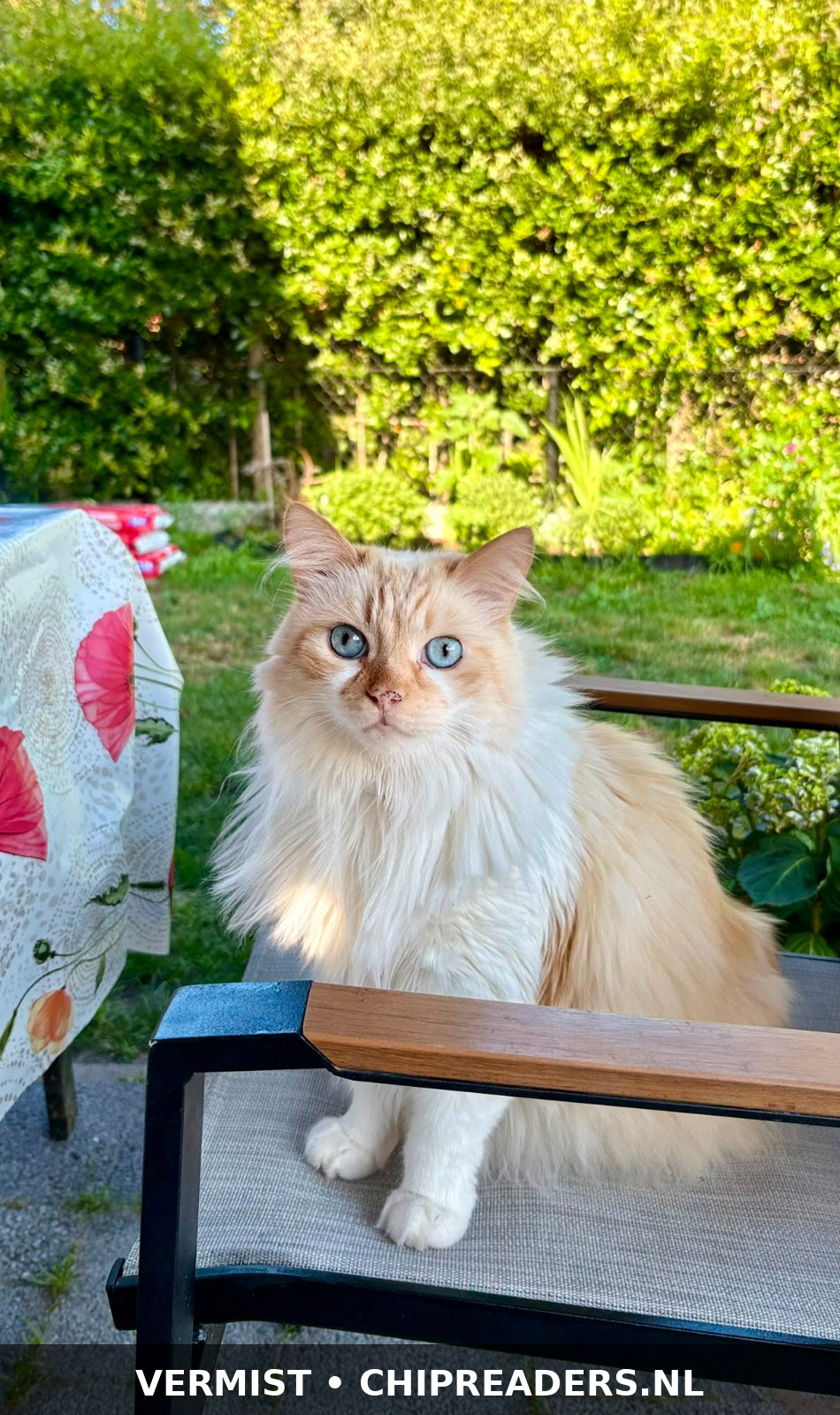 Foto van Pablo