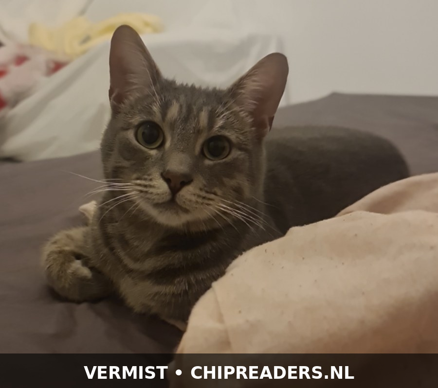 Foto van Sanfour
