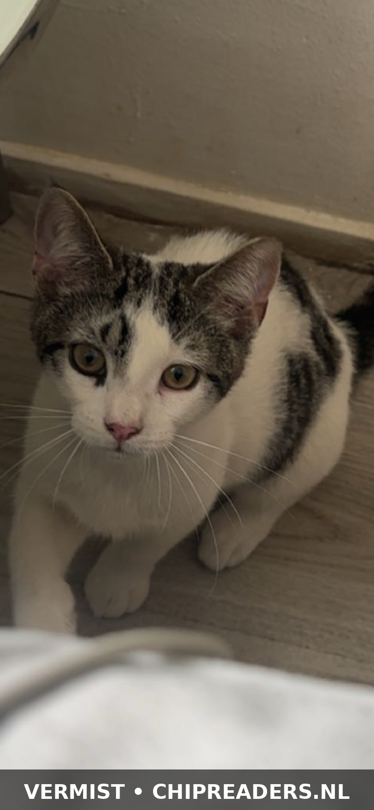 Milo