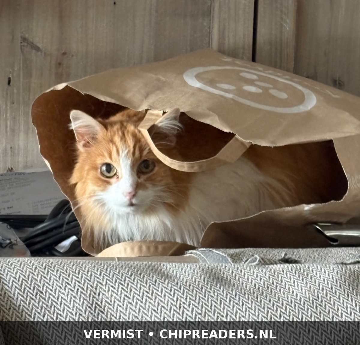 Kareltje