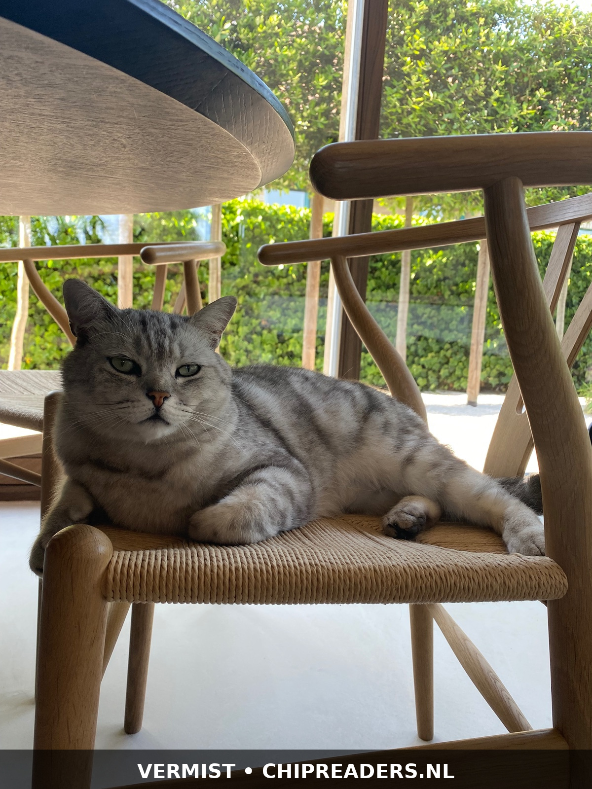 Foto van Oscaar
