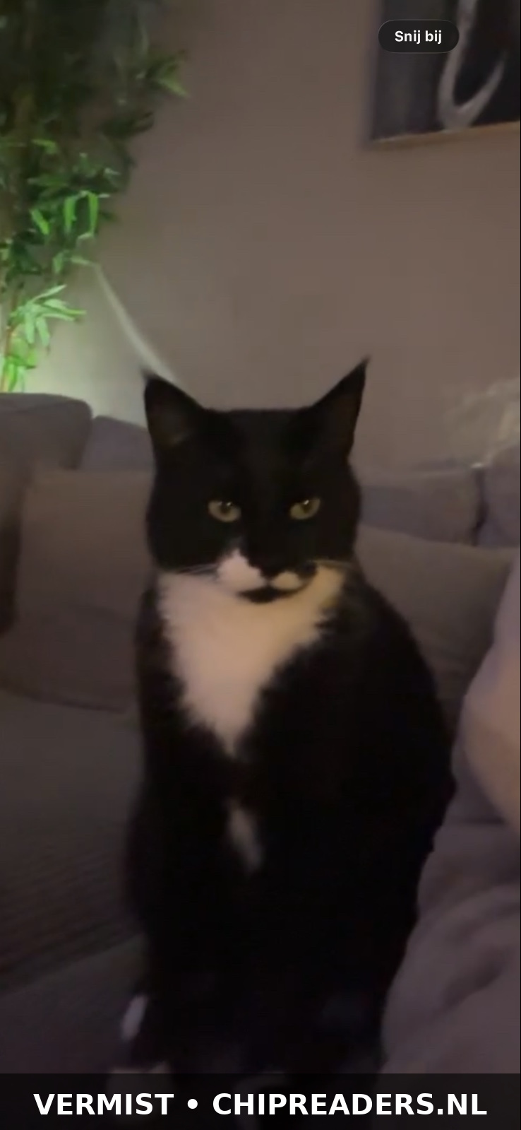 Foto van Karel