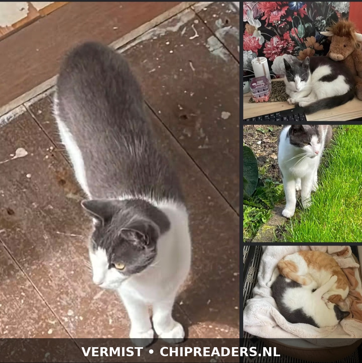 Foto van Tom
