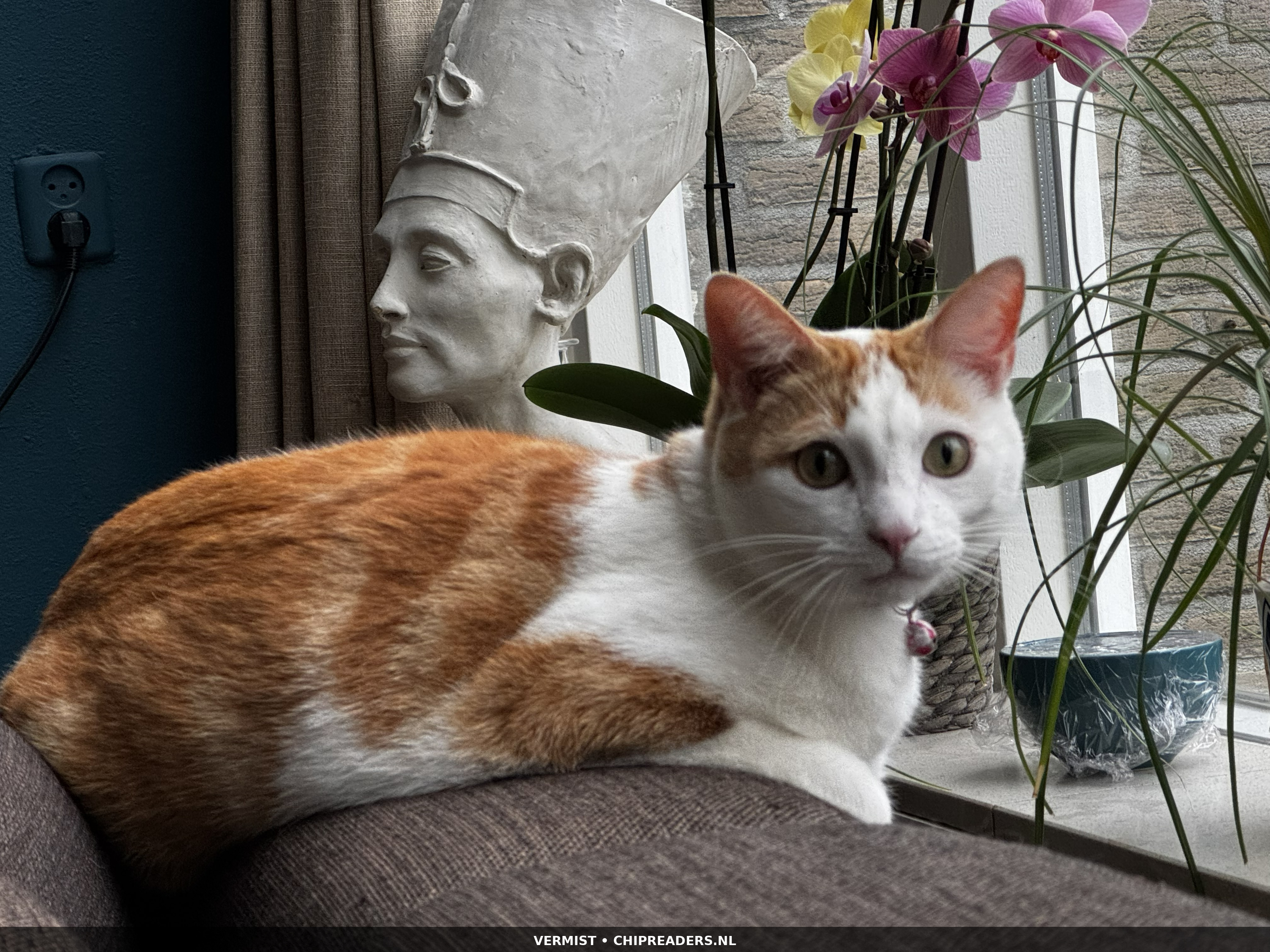 Koos(je) foto 3