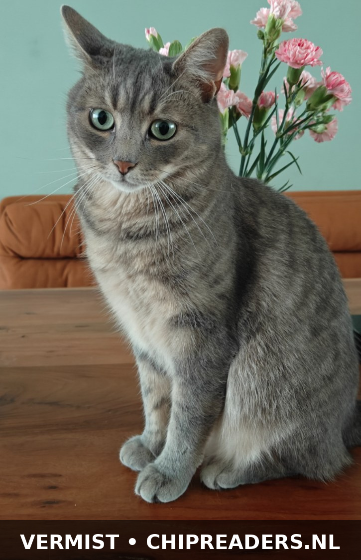 Foto van Victor