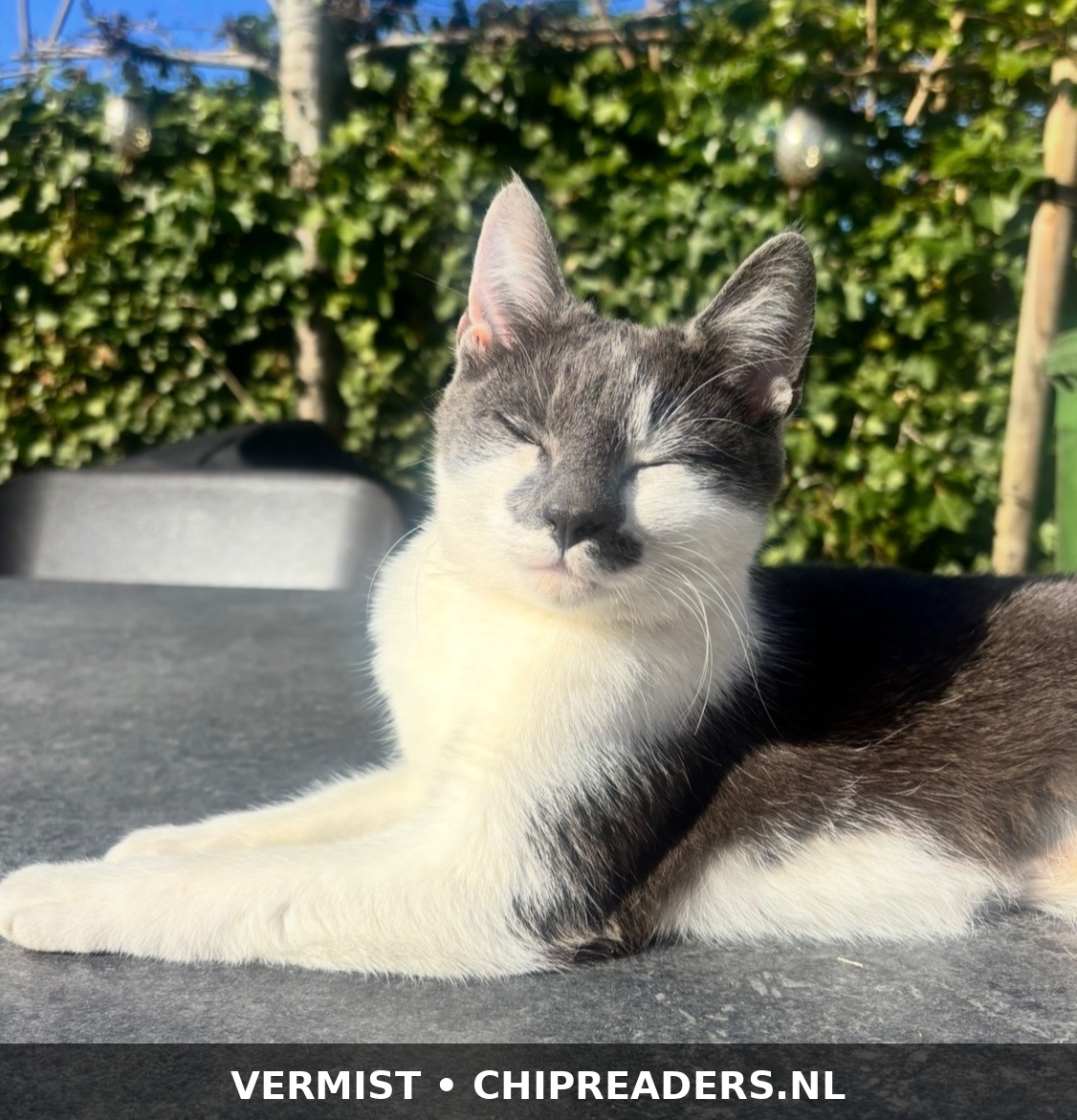 Foto van Bella