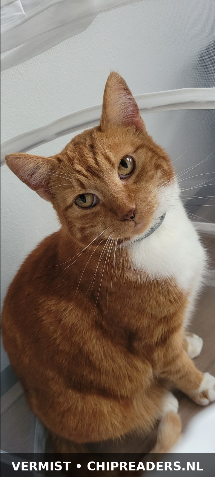 Foto van Mimi