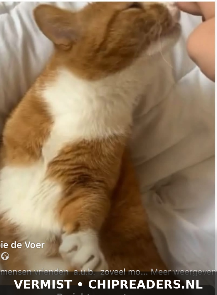 Foto van Hendrikje