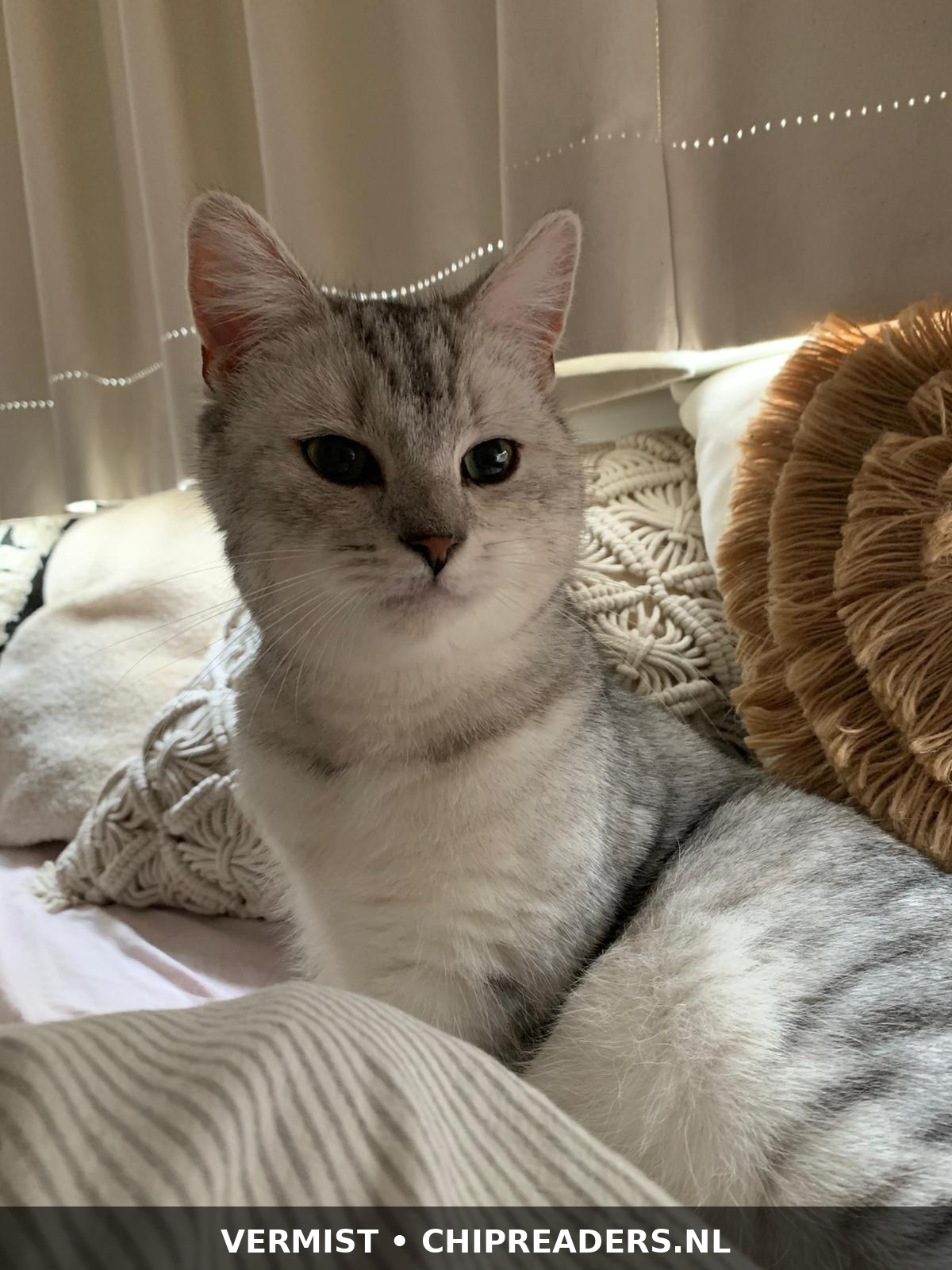 Foto van Nala
