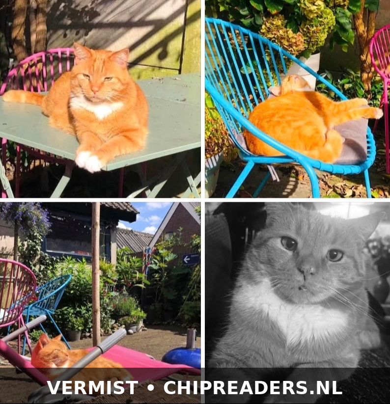 Foto van Zoef