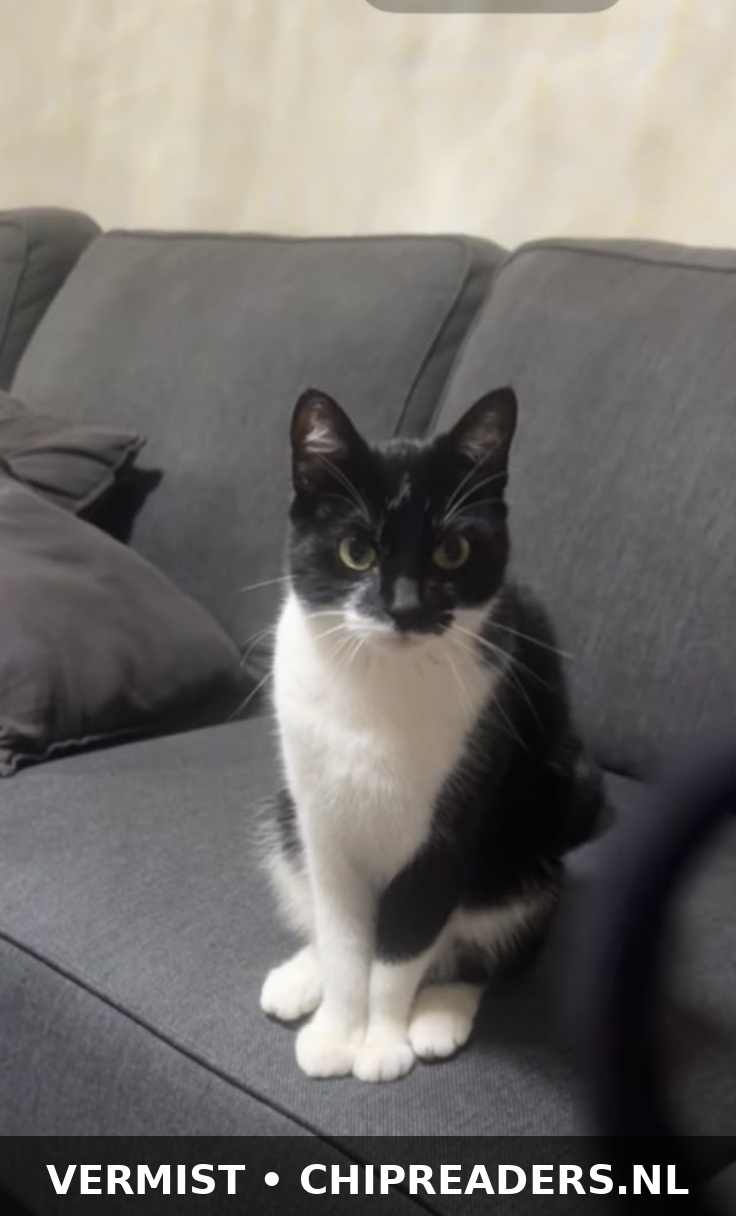Foto van Cece