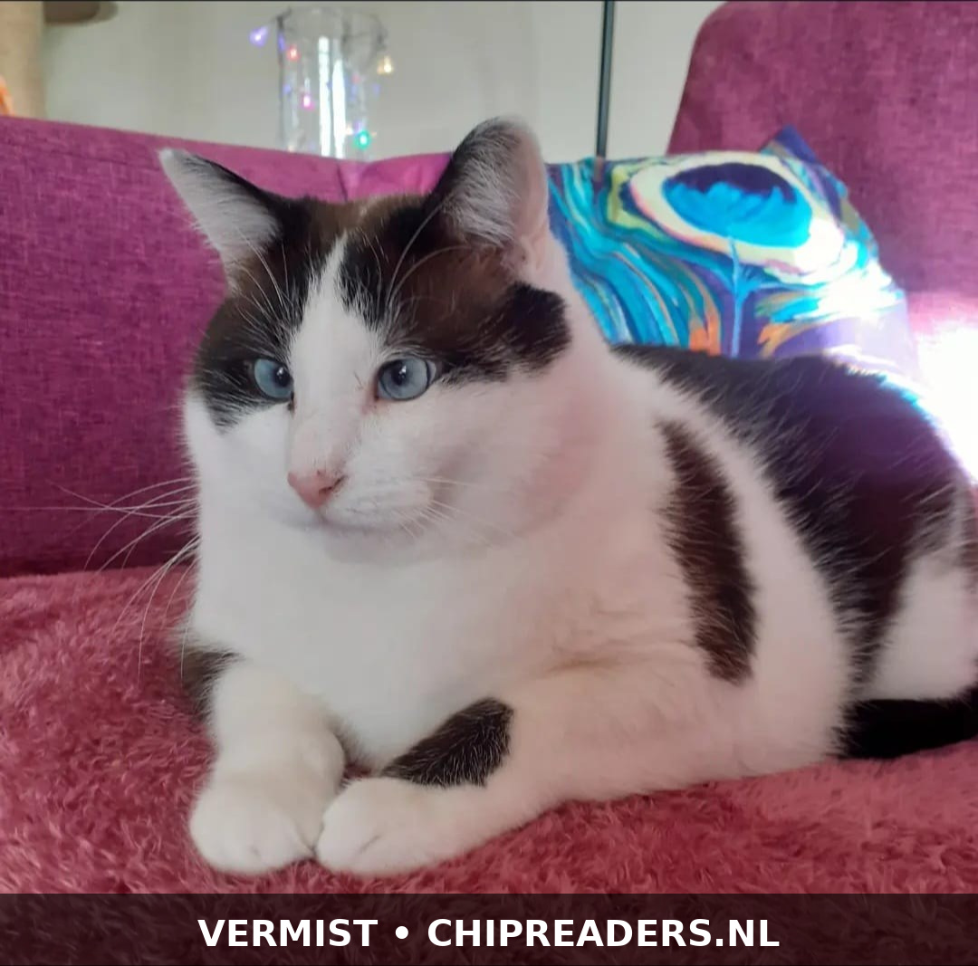 Foto van Mikey
