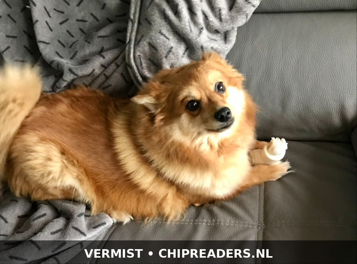 Foto van Cassy