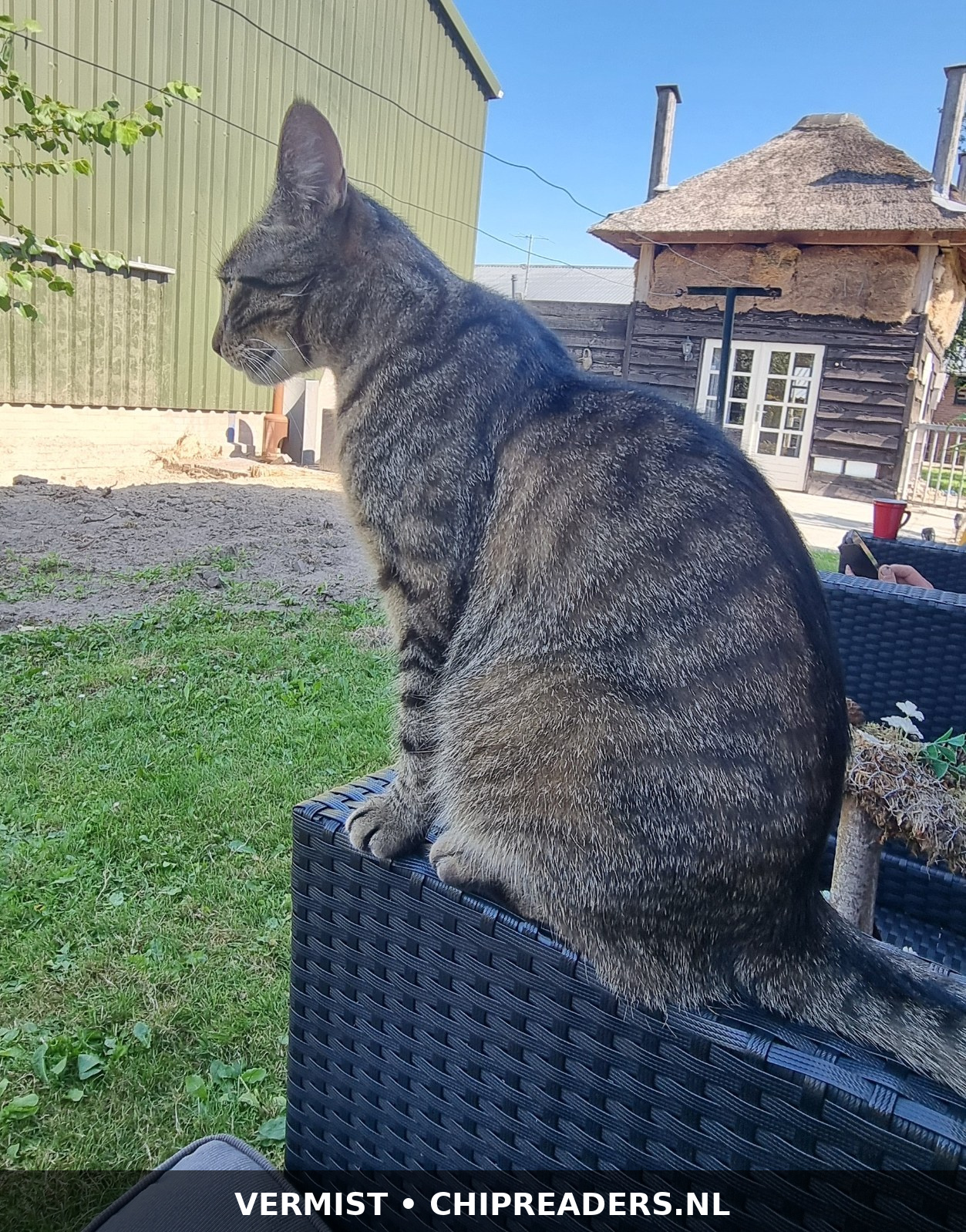 Moosie