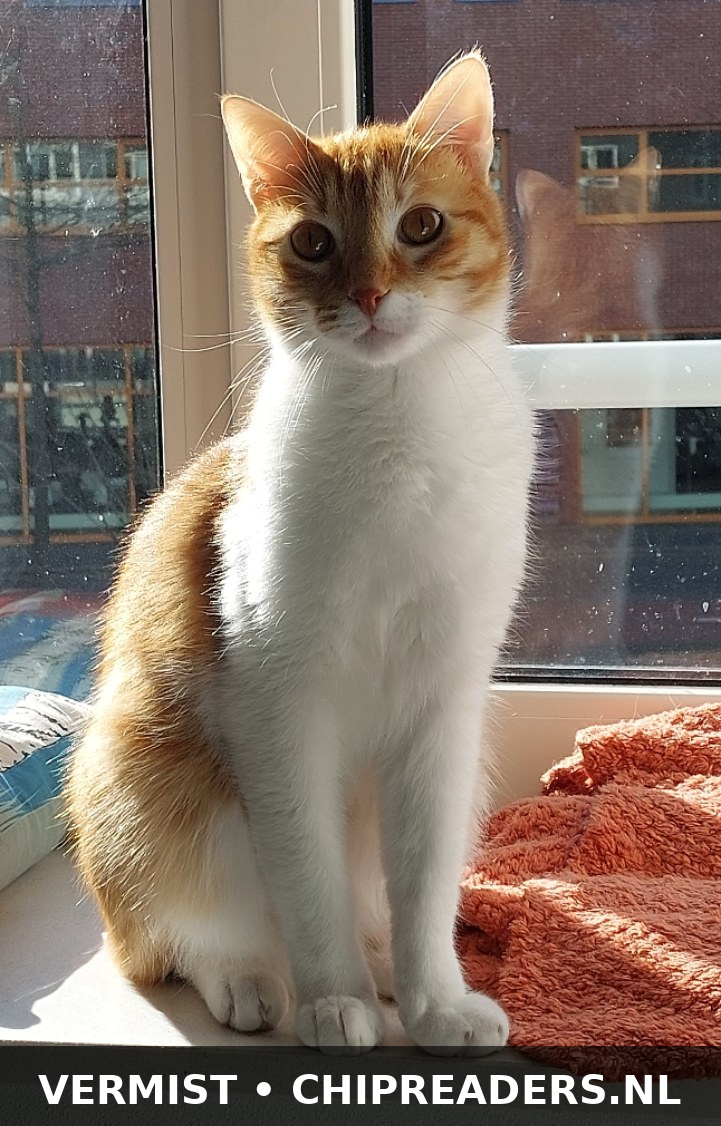 Leo foto 1