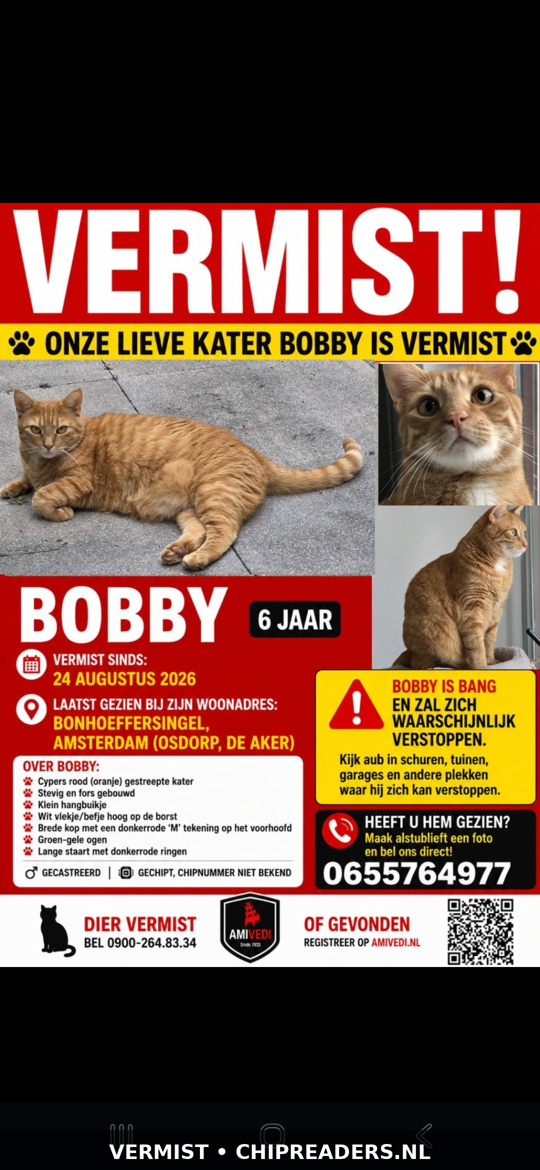 Bobby foto 7