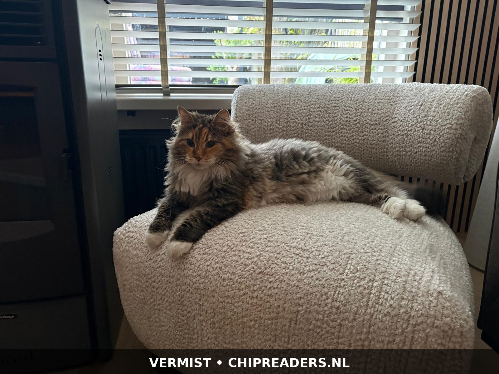 Foto van Faye