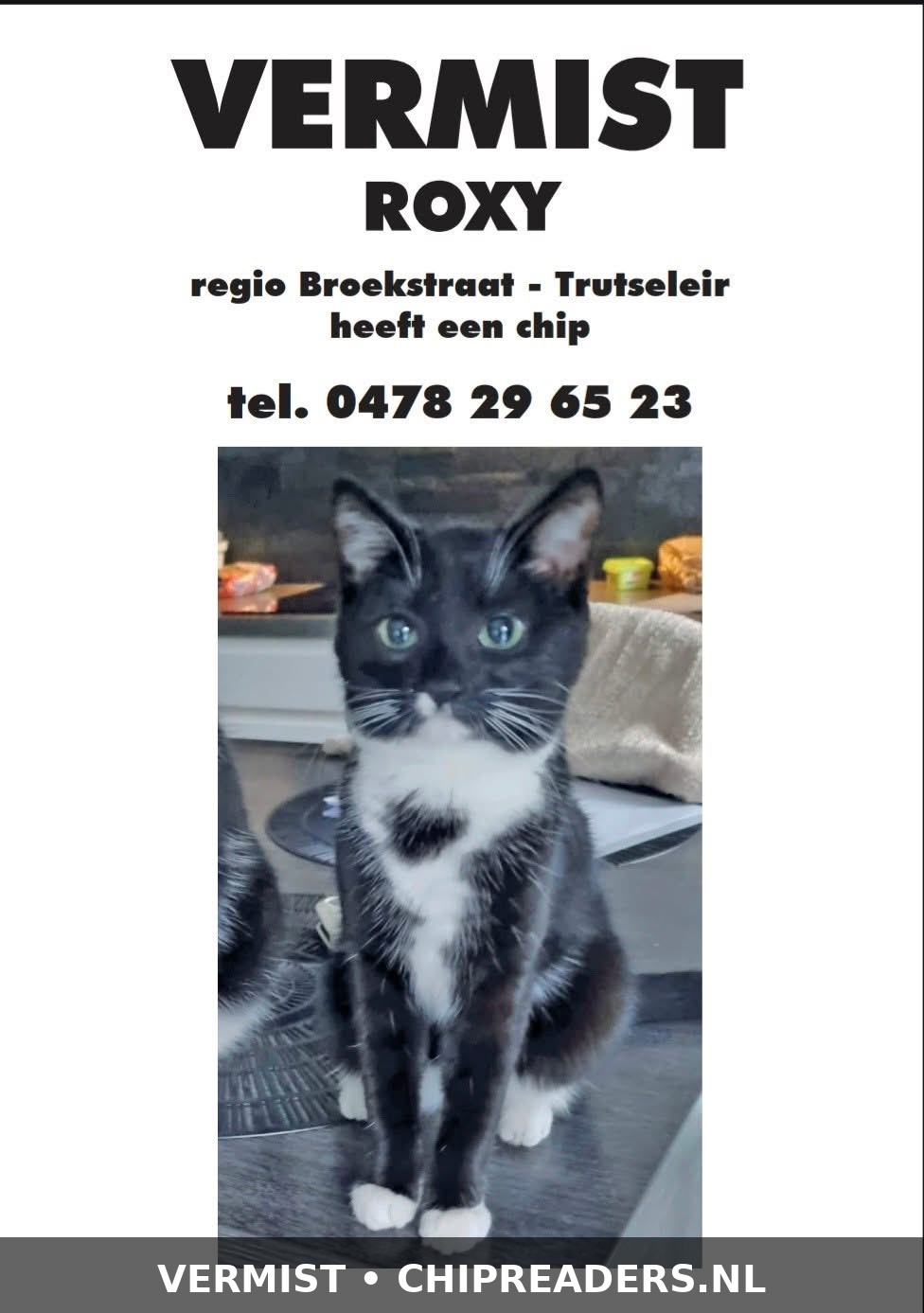 Roxy foto 5